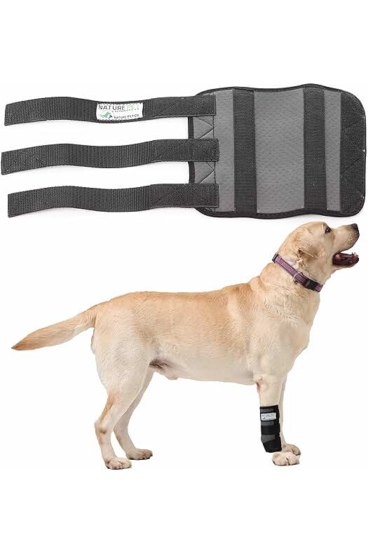 Vendaje de soporte para perros: CarpoLock Sport - Gris - XL, ideal para deporte.