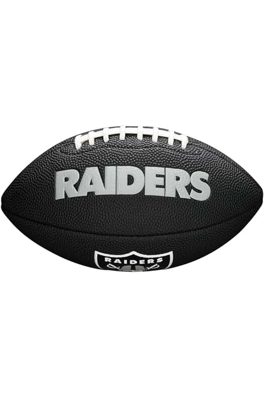 Wilson Official NFL Team Alliance Footballs